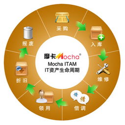 資產管理理論的介紹